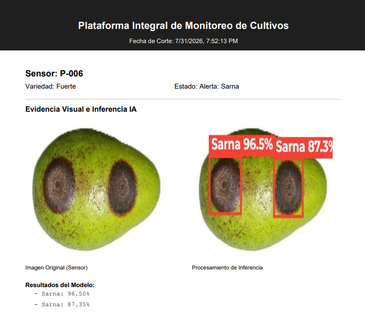 Reporte Evidencia