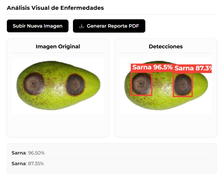 Inferencia de Inteligencia Artificial